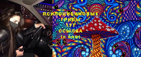 амф Беломорск