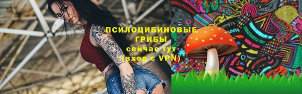 гидропоника Богданович